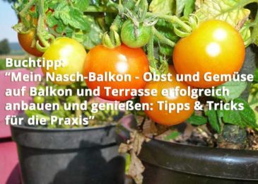 Mein Nasch-Balkon – Obst und Gemüse auf Balkon und Terrasse erfolgreich anbauen und genießen: Tipps & Tricks für die Praxis