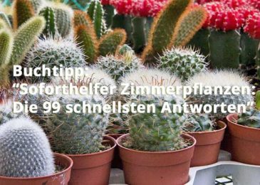 Soforthelfer Zimmerpflanzen: Die 99 schnellsten Antworten